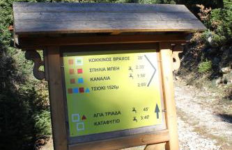 Τα Πέτρινα της Ελάτης - Petrina Elatis - Foto 60