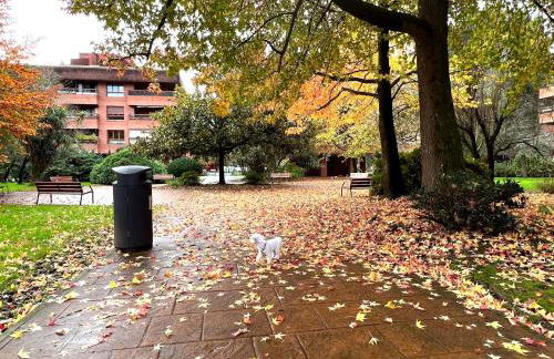 Spacious cozy apartment with easy and free parking - Foto 22