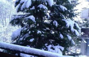 Luna Reale Roccaraso apt - Foto 43