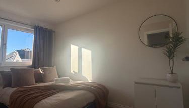 Black Daisy - Foto 4