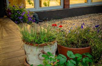 Orzechowy domek - Foto 9