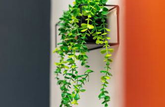 Newly Refurbed Home With Football Table Near M5 Junction 2 - Foto 31