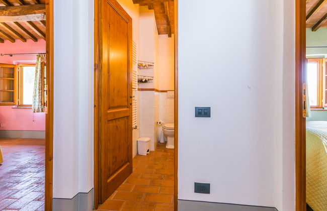 Francigena - Foto 15