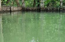 Sitio na floresta px a Belém - Photo 1