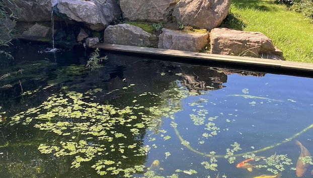 Terraço/pátio interior