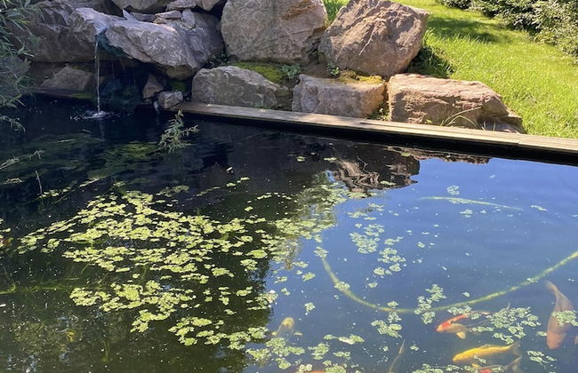 Les nuits insolites de la mothe tiny house - Foto 4