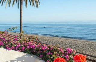 Macdonald Leila Playa Resort - Photo 92