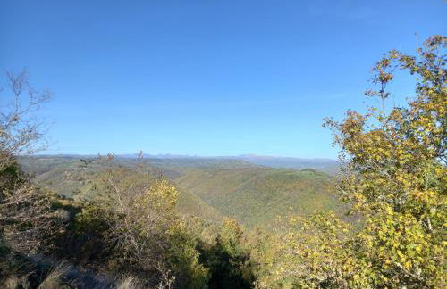 Petite maison avec piscine - Photo 13