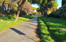 Casa Paola al Tuscolano - Foto 14