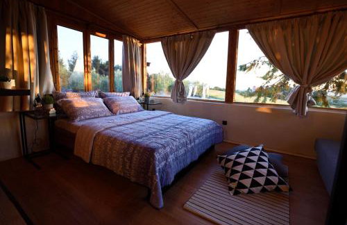 Los vagones - Photo 26