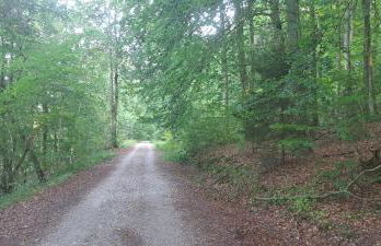 Ferienwohnung Inn-Blick - Foto 33