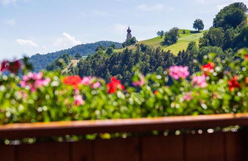 Haidgerberhof - apartments & homemade food - Foto 76