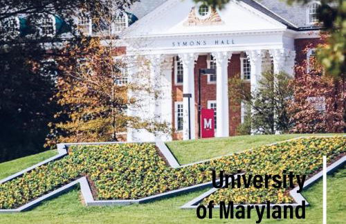 Deluxe Joy - Foto 82