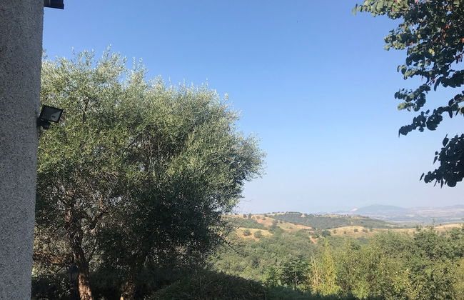 House, Villa - Polveraia, Scansano, Grosseto - Foto 20