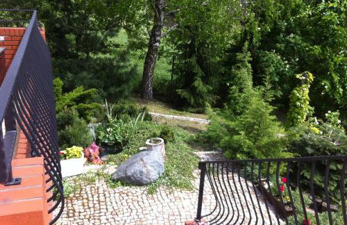 W Starym Sadzie - Foto 11