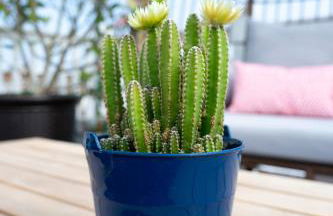 Luxury Federal Hill Home with Rooftop & 4 Parking Spots - Foto 50