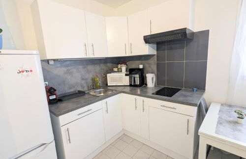 Appartement cosy 15 min d'Orly - Foto 2