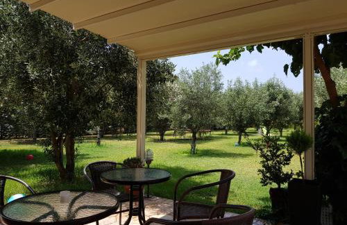 Gaia Studios & Apartments - Foto 75