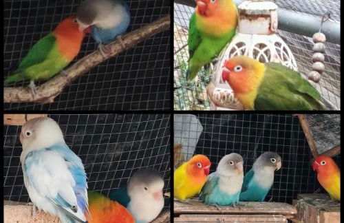 BELLE VILLA Piscine 120 m2, 8 pers, 3 belles chambres Près d'Aix-en-Provence - Foto 67