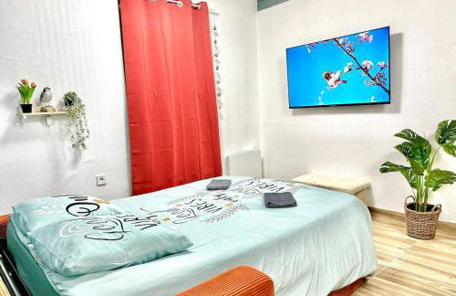 L'Envolée, centre ville parking gratuit - Foto 24