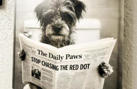 Blueys Lakefront 2 Bed and 2 Bath Condo - Foto 24