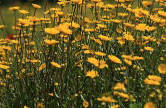 Finca El Zurrador - Foto 48