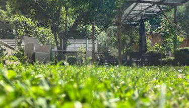 Casa Bruna - Foto 3, Garden