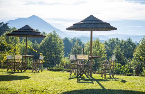 Quinta da Chouza Agroturismo e Enoturismo - Foto 10