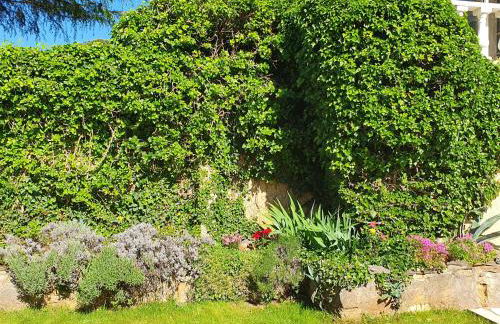 La Bastide Bleue - Foto 23