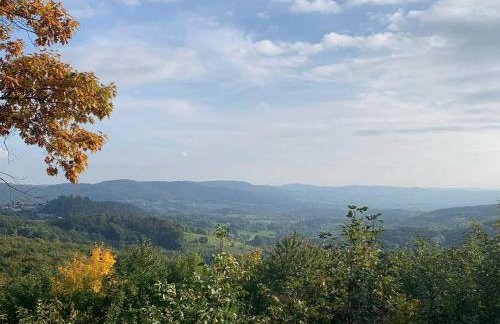 Nibelungen 4 Zimmer Apartment - Foto 56