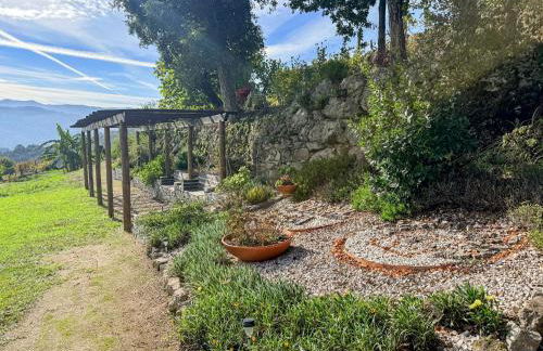 Bosque da Fantasia - Foto 67