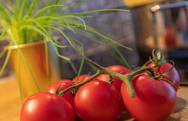 Tevini Alpine Apartments by we rent - Foto 15