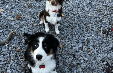 Bear's Mountaintop Home with Gorgeous Lake Views chalet - Foto 50