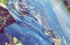 Landhaus Friedl - Foto 47