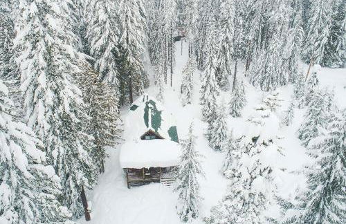 Marshall Cabin - Meredith Lodging - Foto 41