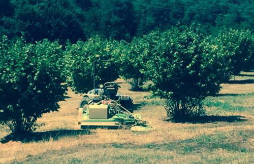 Sangrato 1883 - Foto 40