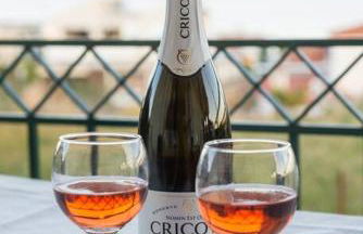 Όμορφο παραθαΣυγκρότημα ενοικιαζόμενων καταλυμάτων ως ολόκληρος χώρος - Chrani, Ελλάδαλάσσιο διαμέρισμα - Foto 20