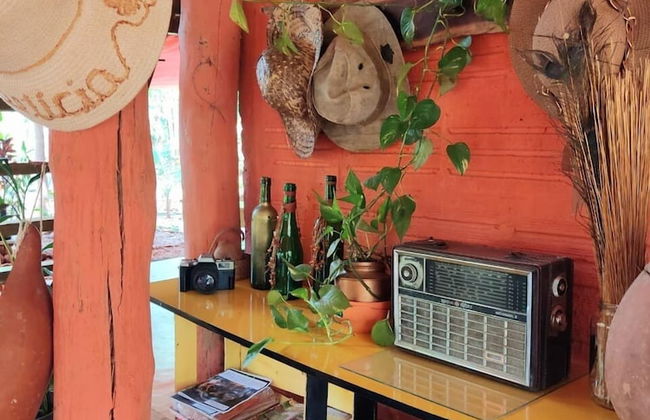 Pousada Pouso das Araras - Foto 66