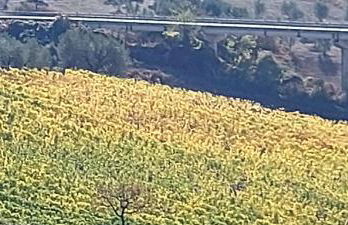 Molino della Tuoma - Foto 61