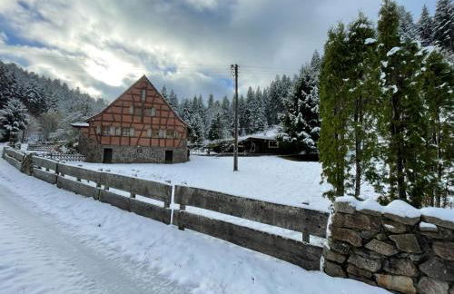 Forsthaus Trabronn | Sauna | eingezäunt | Grillplatz - Photo 42