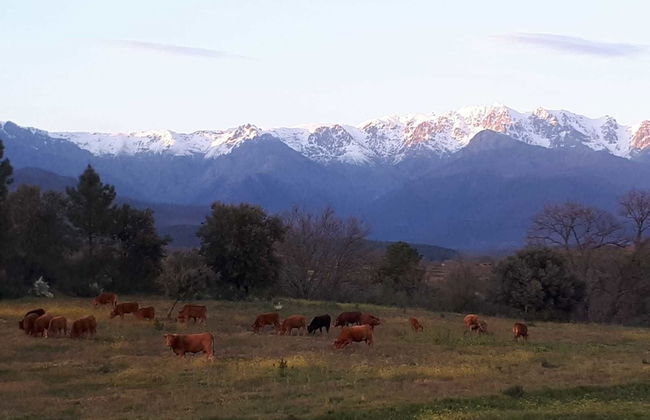 Sakura Vera - Foto 55