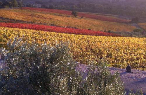 Antico Casale L'Impostino - Foto 100