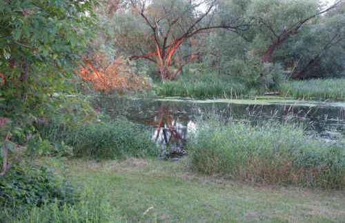 Fachwerkhaus am Fluss - Foto 32