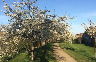 Gîte chez "Mamie Schlop" - Foto 63