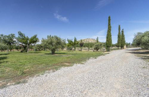 Mas de l' Anneta - Foto 25