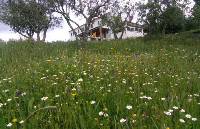 Refugio da Montanha Amazing Views Gois Region - Foto 28