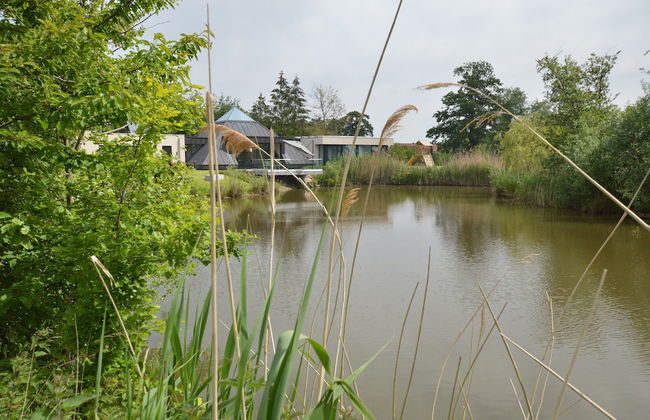 Lovely Holiday Home 'walleken' With a Pond - Foto 35