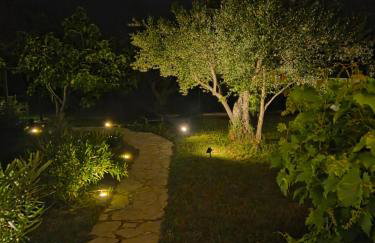 Studio Apartment Ceca*** - Foto 8