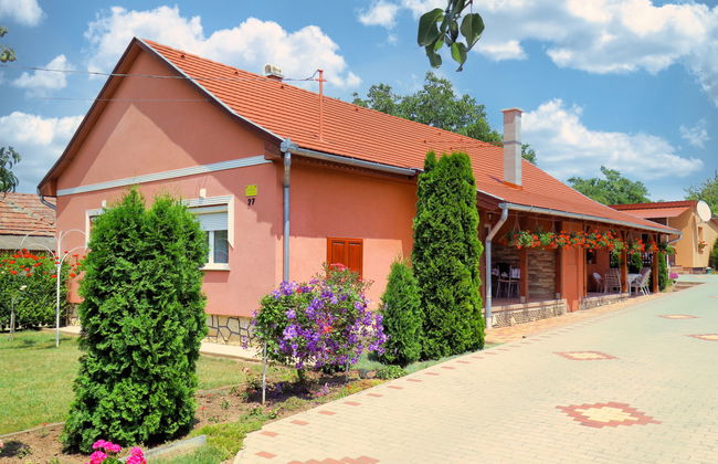 4 bedroom House in Balatonszárszó with private pool and garden - Photo 28