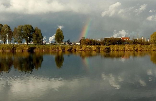 Nice Holiday Home With Sauna Near a Lake - Foto 29